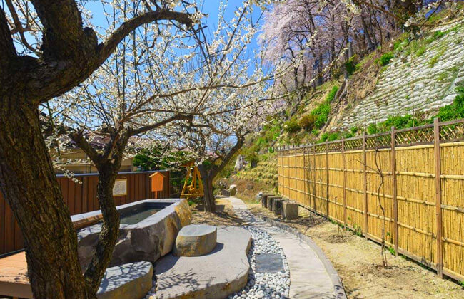 A footbath where you can admire the beauty of plum and cherry blossoms.